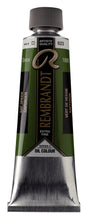 Load image into Gallery viewer, Rembrandt Oil Color Sap Green 150ml
