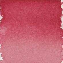 Load image into Gallery viewer, Talens | Pantone Marker Ink 30ml 200