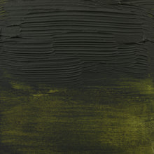 Load image into Gallery viewer, Amsterdam Expert Series Acrylic Olive Green 75ml