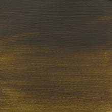 Load image into Gallery viewer, Amsterdam Standard Series Raw Umber 250ml