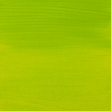 Load image into Gallery viewer, Amsterdam Standard Series Yellowish Green 250ml
