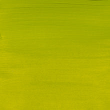 Load image into Gallery viewer, Amsterdam Standard Series Olive Green Light 250ml