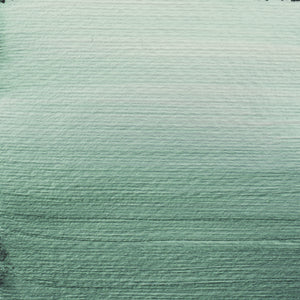 Amsterdam Standard Series Acrylic Pearl Green 120ml