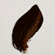 Load image into Gallery viewer, Rembrandt Oil Color Burnt Umber 40ml