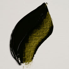 Load image into Gallery viewer, Rembrandt Oil Color Olive Green 40ml