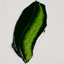 Load image into Gallery viewer, Rembrandt Oil Color Sap Green 150ml