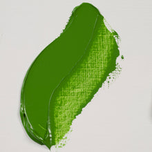 Load image into Gallery viewer, Rembrandt Oil Color Cinnabar Green Medium 40ml