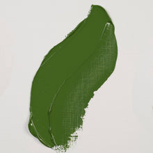 Load image into Gallery viewer, Rembrandt Oil Color Chromium Oxide Green 40ml