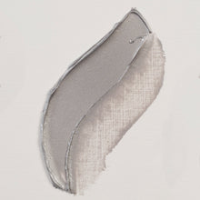 Load image into Gallery viewer, Rembrandt Oil Color Silver 40ml