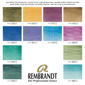 Rembrandt Professional Watercolor Paint, Granulating Color Selection - 12 Pans