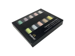 Rembrandt Soft Pastels Warm Yellows 10 Half Pastels Set