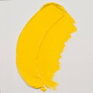 Rembrandt Oil Color Cadmium Yellow Light 40ml