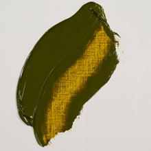 Load image into Gallery viewer, Rembrandt Oil Color Transparent Yellow Green 40ml