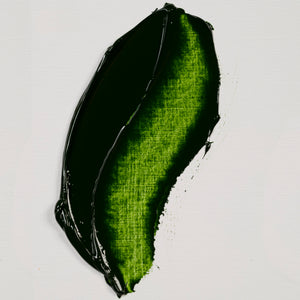 Rembrandt Oil Color Sap Green 40ml