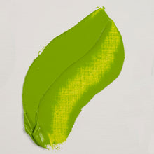 Load image into Gallery viewer, Rembrandt Oil Color Permanent Yellowish Green 40ml